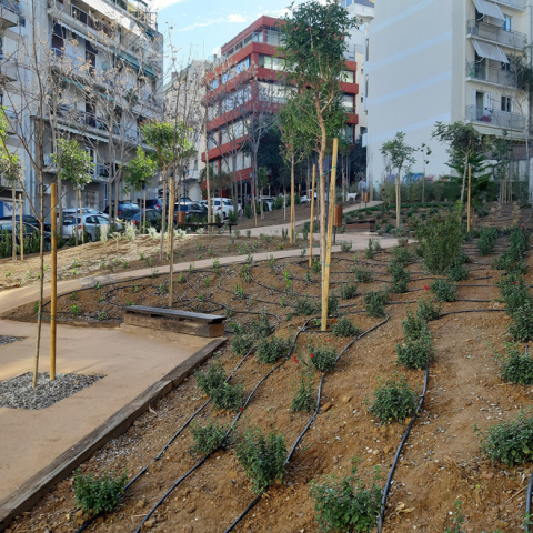 «Πάρκο Τσέπης» στο Παγκράτι