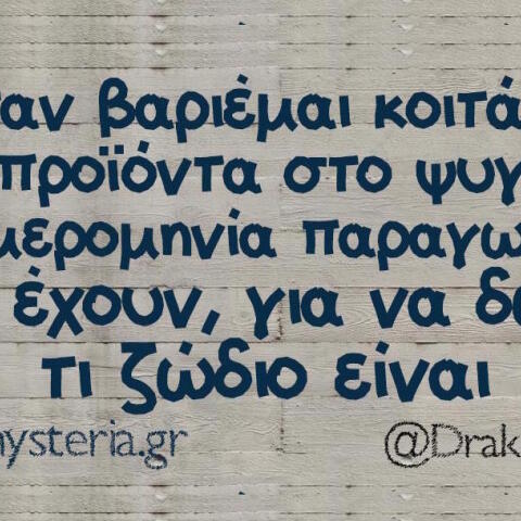 Αστεία memes, ατάκες, βίντεο, virals που ανέβηκαν στο διαδίκτυο και μας έκαναν να γελάσουμε