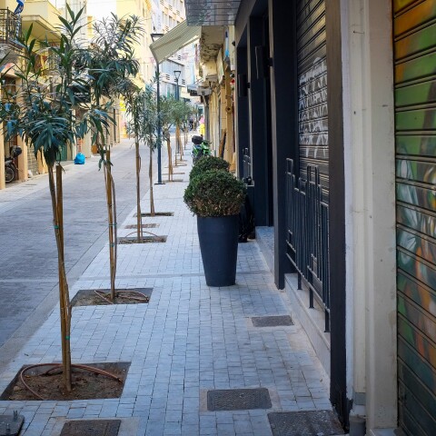 Στιγμιότυπο στην Αττική 