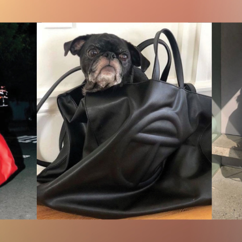 Πώς η Telfar bag έγινε η πιο σημαντική τσάντα της δεκαετίας