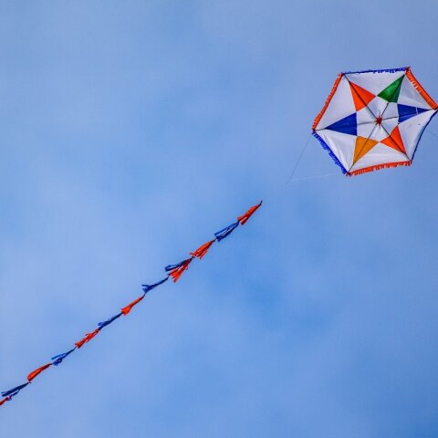 kite-4049200_1280.jpg