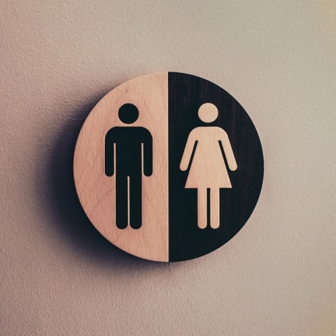 Ισότητα φύλων 