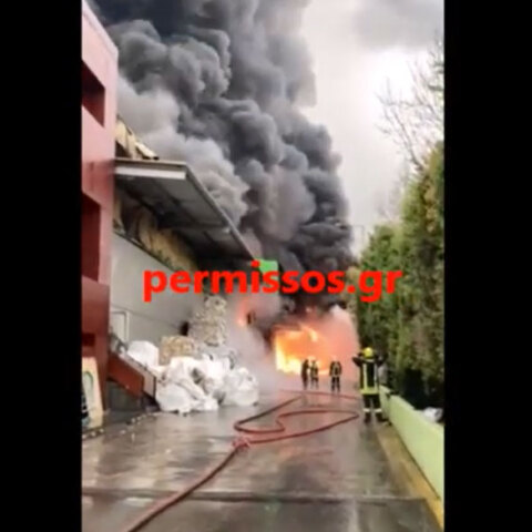 Φωτιά σε εργοστάσιο ανακύκλωσης στο Σχηματάρι