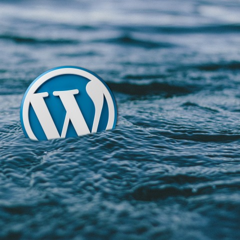Λογότυπο της πλατφόρμας WordPress