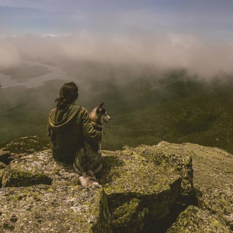 Γυναίκα και σκλυλος στην άκρη του βουνού χαζεύοντας τη θέα