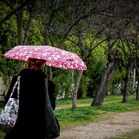 Βροχή - Πολίτες με ομπρέλα