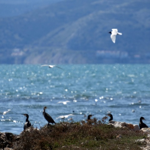 Καιρός - Καλοκαιρία 