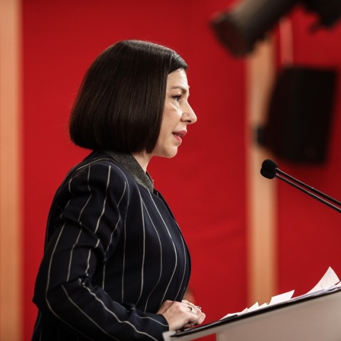 Αριστοτελία Πελώνη