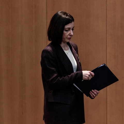 Αριστοτελία Πελώνη