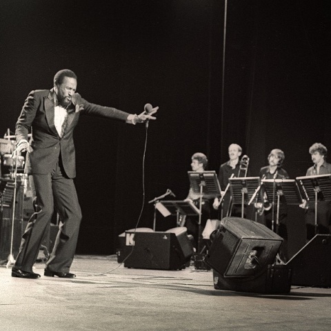 Ο τραγουδιστής Μάρβιν Γκέι