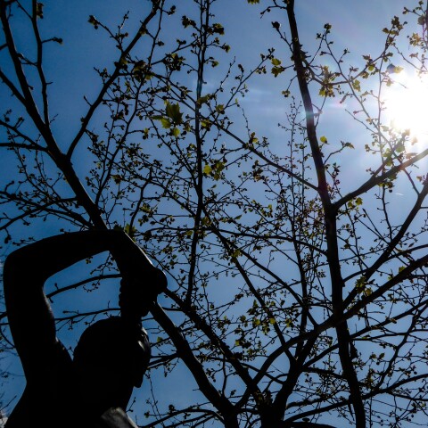 Ηλιοφάνεια