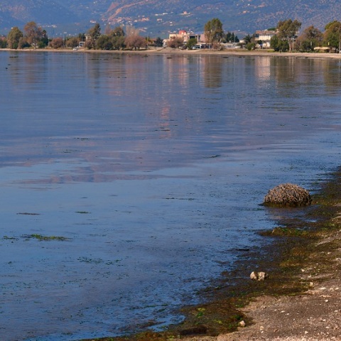 ΚΟΚΚΙΝΙΣΕ Η ΘΑΛΑΣΣΑ ΣΤΟ ΝΑΥΠΛΙΟ	