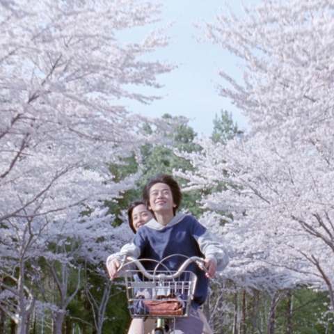 Στιγμιότυπο από την ταινία του Χιροκάζου Κόρε Έντα «Η μικρή μας αδερφή» 