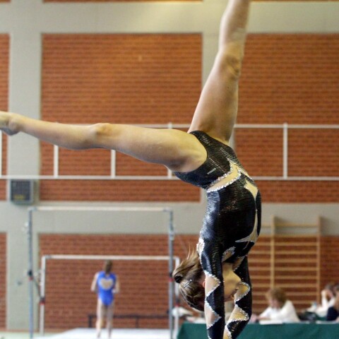 Ενοργανη Γυμναστική