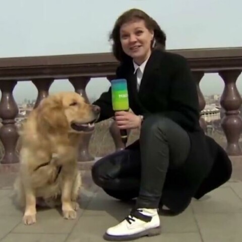 Η Ναντιέζντα Σερέζκινα και ο Μάρτιν, το γκόλντεν ριτρίβερ