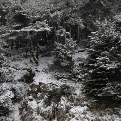 Χιόνια στην Πάρνηθα