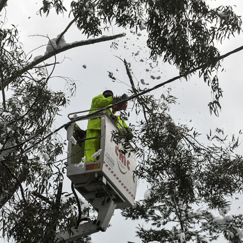 Καισαριανή: Συνεργεία καθαρίζουν από τα χιόνια καλώδια της ΔΕΗ στην πρόσφατη κακοκαιρία «Μήδεια»