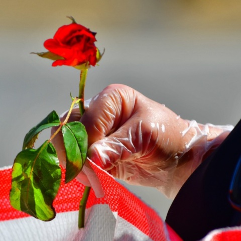 Πρωτομαγιά