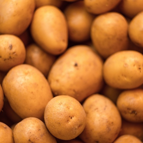 Απίστευτες εικόνες συνωστισμού στην Τουρκία, κοσμοσυρροή για τις πατάτες και τα κρεμμύδια που μοιράζει στους φτωχούς ο πρόεδρος Ερντογάν