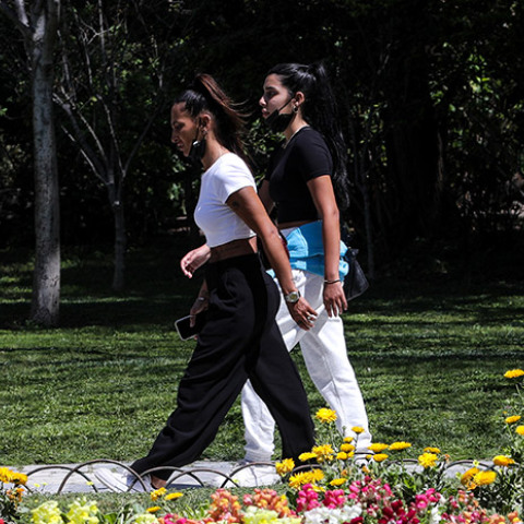 ΣΤΙΓΜΙΟΤΥΠΑ ΣΤΟΝ ΕΘΝΙΚΟ ΚΗΠΟ