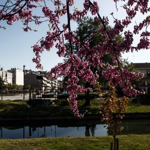  Ηλιοφάνεια στην Αττική 