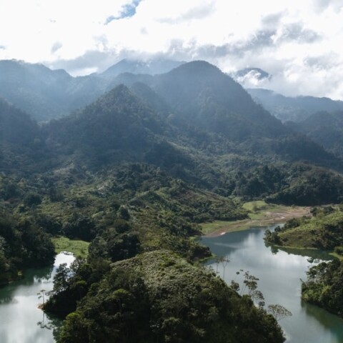 Παγκόσμια Ημέρα της Γης