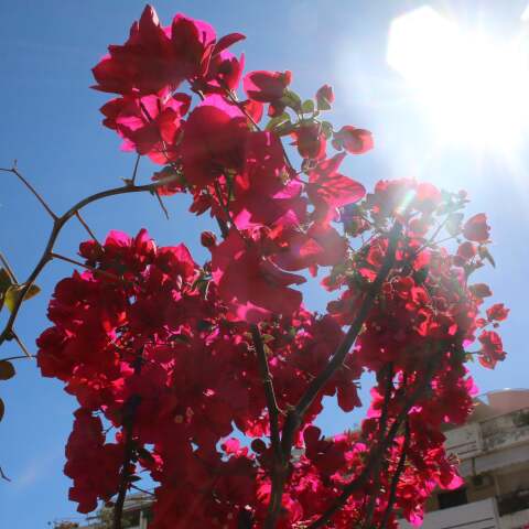 Ανοιξιάτικος καιρός 