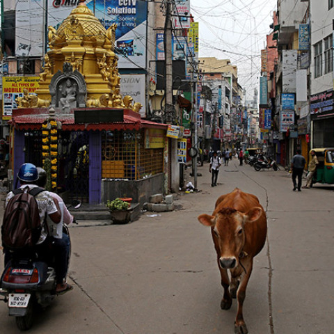 Κορωνοϊός - COVID-19 - Ινδία 