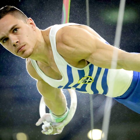 Λευτέρης Πετρούνιας