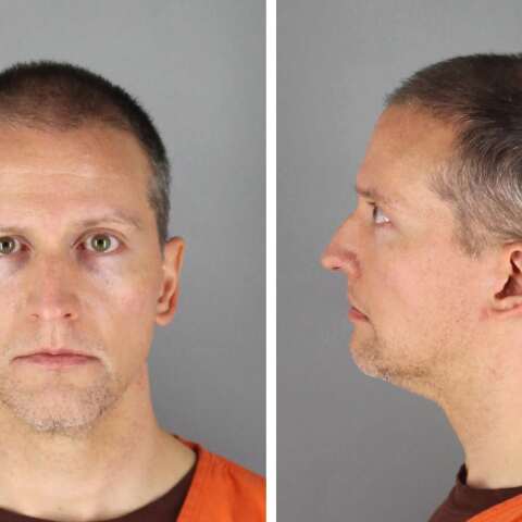 Ντερεκ Σόβιν