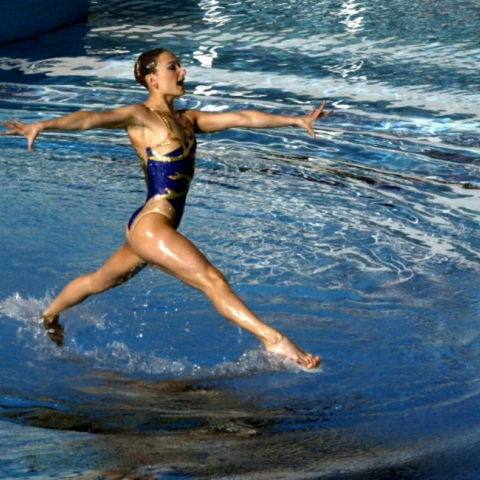 Γιάννης Μπεχράκης