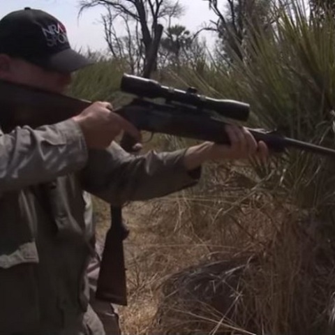 Το βίντεο με τον Γουέιν ΛαΠιερ