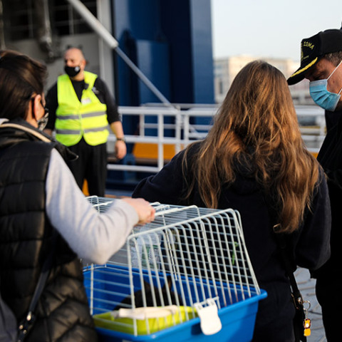  ΑΝΑΧΩΡΗΣΕΙΣ ΑΠΟ ΤΟ ΛΙΜΑΝΙ ΤΟΥ ΠΕΙΡΑΙΑ ΕΝΤΑΤΙΚΟΙ ΕΛΕΓΧΟΙ ΑΠΟ ΤΟ ΛΙΜΕΝΙΚΟ ΣΩΜΑ 