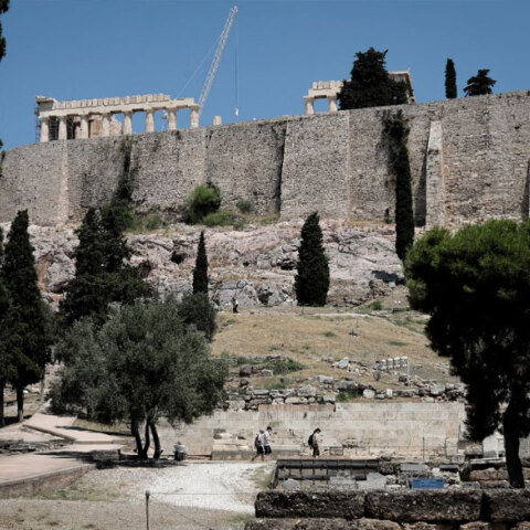 Ακρόπολη: Και όμως υπάρχουν 220 είδη φυτών γύρω από τον Ιερό Βράχο