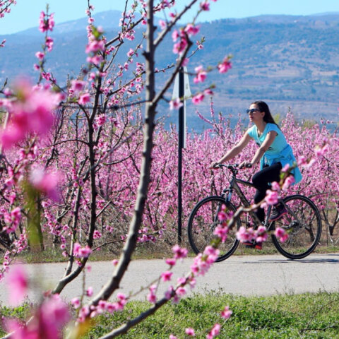 Καλός ο καιρός την Κυριακή του Πάσχα (ΦΩΤΟ ΑΡΧΕΙΟΥ)