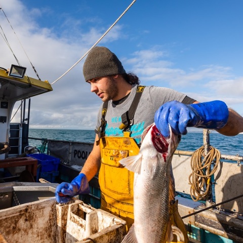 Ψαράδες στη Μάγχη (φωτογραφία αρχείου)