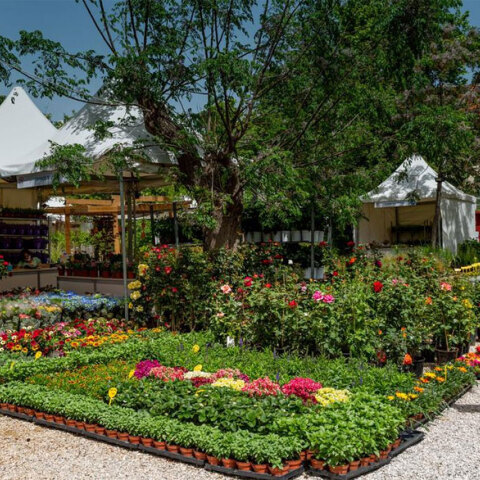 67η Ανθοκομική Έκθεση Κηφισιάς