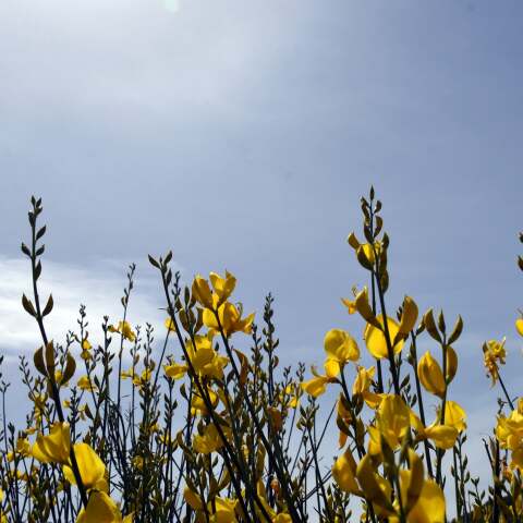 Ανοιξιάτικο στιγμιότυπο