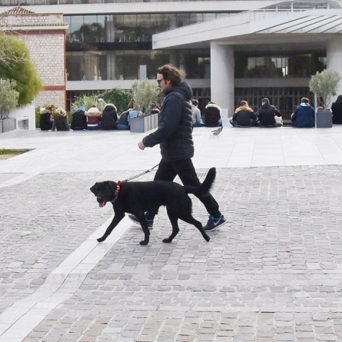 Βασίλης Χαραλαμπόπουλος