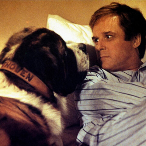 Ο Τσαρλς Γκρόντιν (Charles Grodin) πρόσωπο με πρόσωπο με τον «Μπετόβεν», τον πελώριο σκύλο Αγίου Βερνάρδου