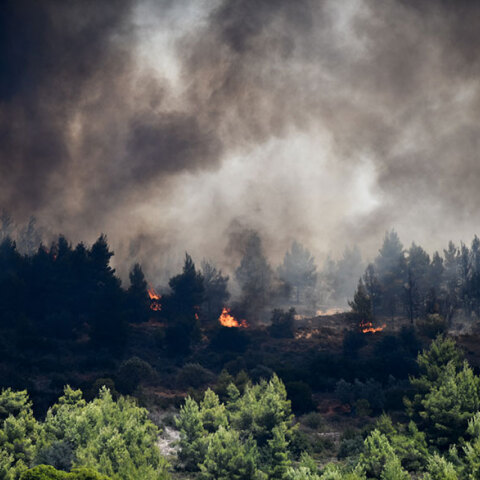 Φωτιά στην Κορινθία - Οι φλόγες καίνε δασική έκταση