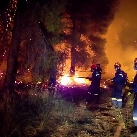Πυρκαγιά σε δασική έκταση στο Σχινό Κορινθίας