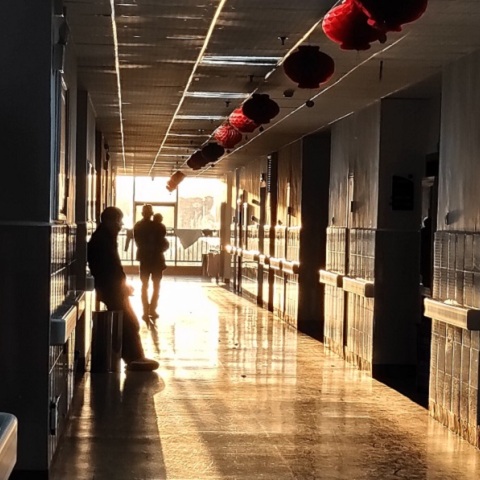 Νοσοκομείο