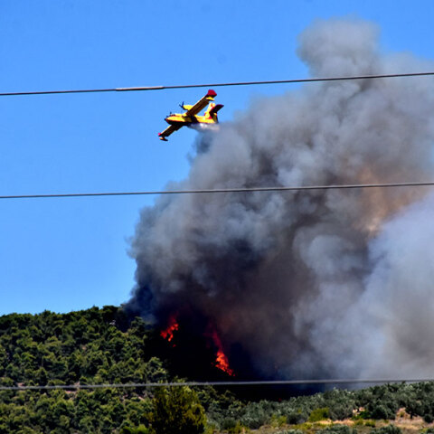 Φωτιά στην Κορινθία - Αεροσκάφος Canadair επιχειρεί στο πύρινο μέτωπο