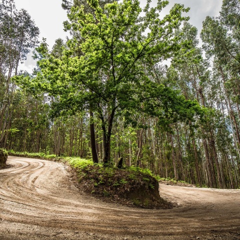 Ράλι Πορτογαλίας 2021