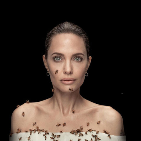 H Αντζελίνα Τζολί με μέλισσες στο πρόσωπο και το σώμα