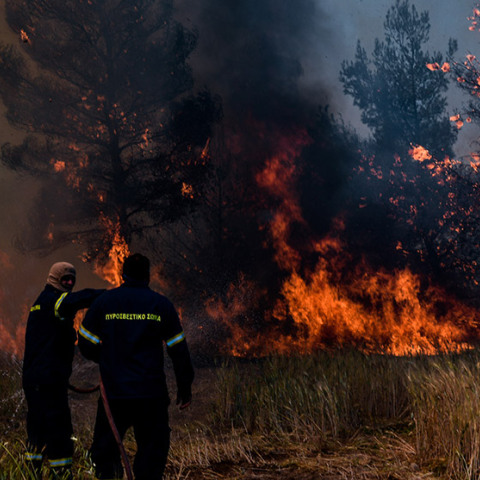 ΠΥΡΚΑΓΙΑ ΣΕ ΔΑΣΙΚΗ ΕΚΤΑΣΗ ΣΤΗΝ ΚΟΡΙΝΘΙΑ / ΟΙΚΙΣΜΟΣ ΠΕΥΚΕΝΕΑΣ