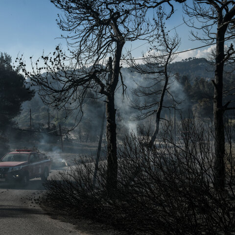 Φωτιά στην Κορινθία - Στάχτη και αποκαΐδια στο Αλεποχώρι
