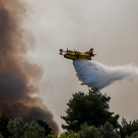 ΠΥΡΚΑΓΙΑ ΣΕ ΔΑΣΙΚΗ ΕΚΤΑΣΗ ΣΤΗΝ ΚΟΡΙΝΘΙΑ / ΟΙΚΙΣΜΟΣ ΠΕΥΚΕΝΕΑΣ