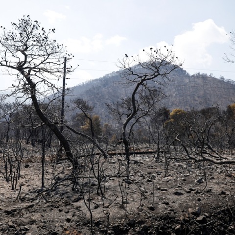 ΠΥΡΚΑΓΙΑ ΣΕ ΔΑΣΙΚΗ ΕΚΤΑΣΗ ΣΤΗΝ ΚΟΡΙΝΘΙΑ